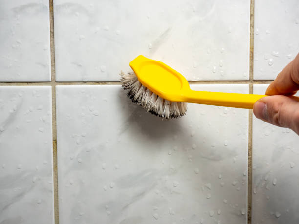 Best Office Mold Removal Services  in Centerville, CA