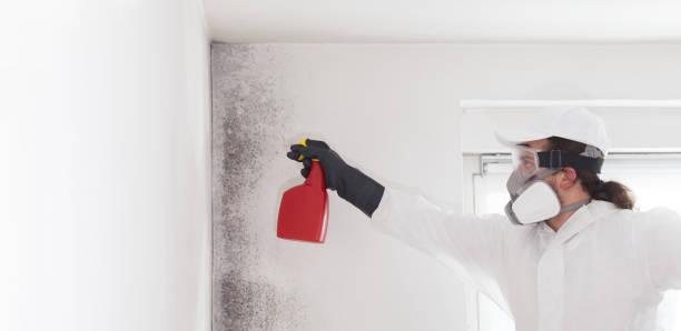 Best Residential Mold Removal  in Centerville, CA