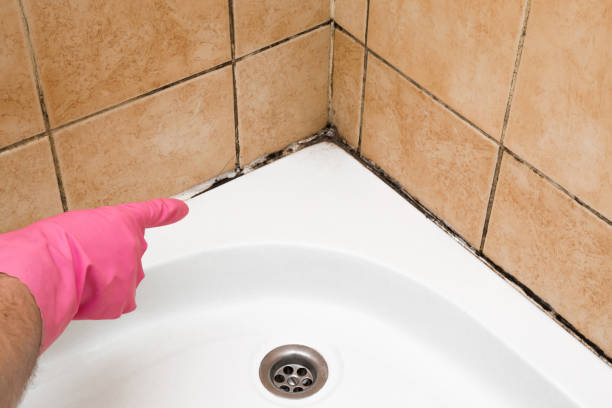 Best Professional Mold Removal  in Centerville, CA